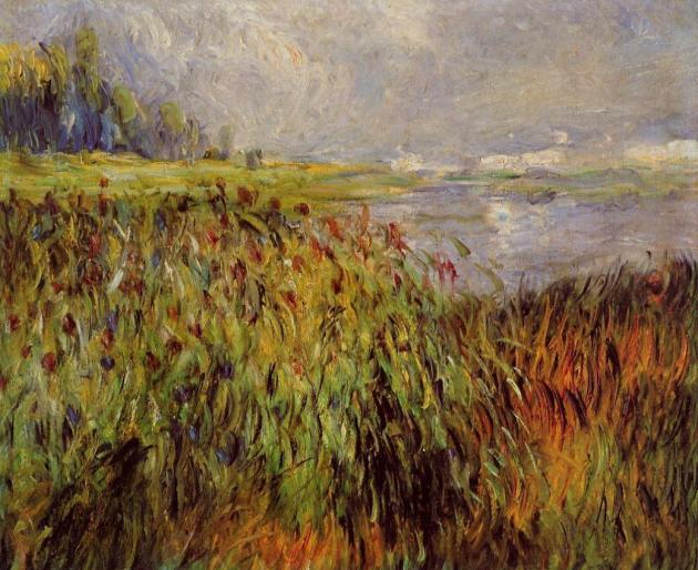 bulrushes-on-the-banks-of-the-seine